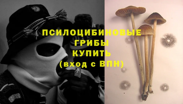 ПСИЛОЦИБИНОВЫЕ ГРИБЫ Наволоки