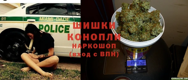 ПСИЛОЦИБИНОВЫЕ ГРИБЫ Наволоки